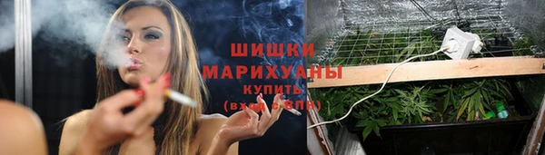 прущие грибы Киренск