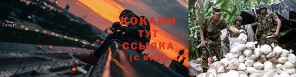 PSILOCYBIN Беломорск