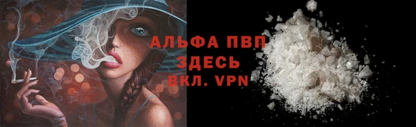 MESCALINE Елизово